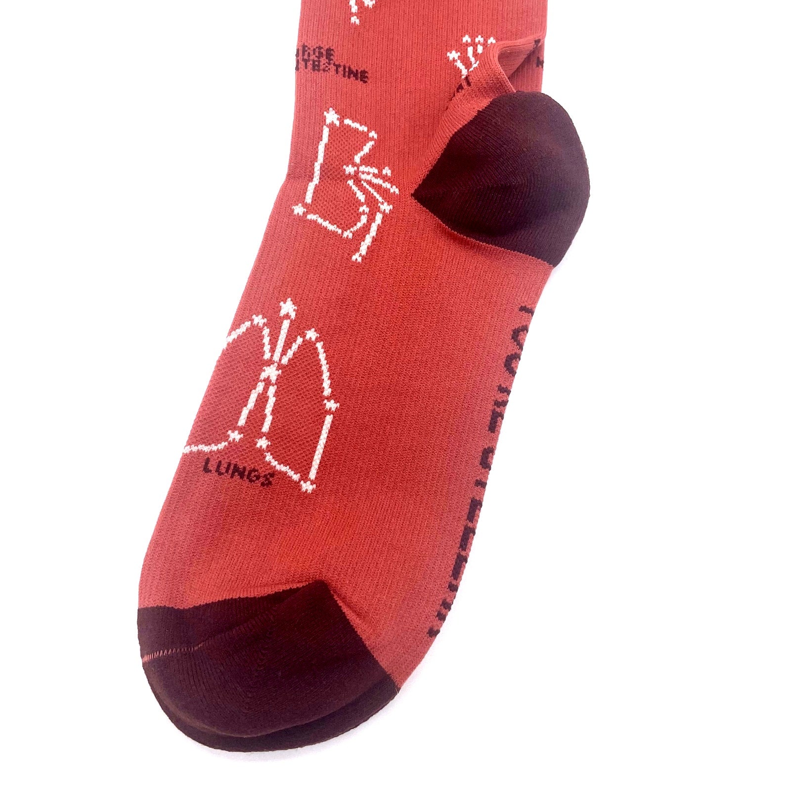 1 Pair FIGS Compression 'Lungs' Rust Socks Size L