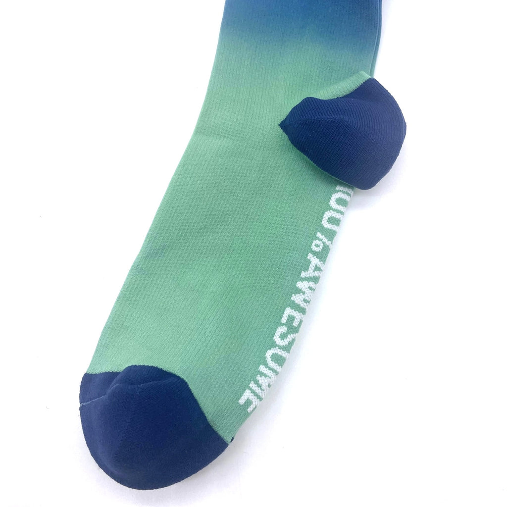 1 Pair FIGS Compression 'Ombre' Blue & Green Socks Size Large